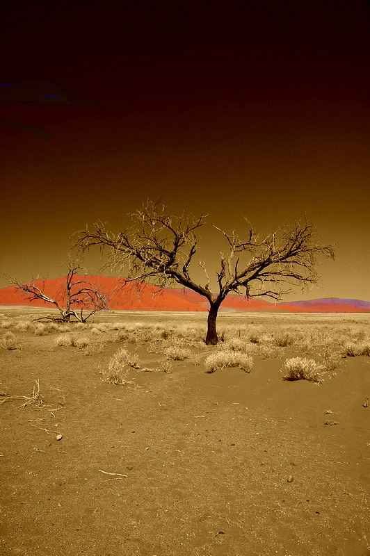 sossusvlei.jpg